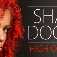 Sharon Doorson - High On Your Love_cover_0