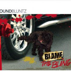 SoundBluntz Blame the Bling album cover